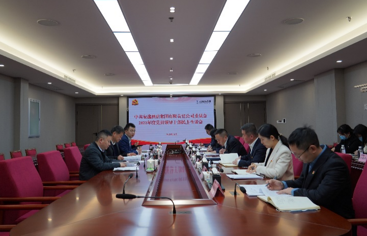 尊龙凯时集团党委书记、董事长任丁出席安逸酒店集团2022年度党员领导干部民主生活会